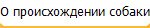 О происхождении собаки