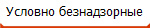 Условно безнадзорные