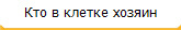 Кто в клетке хозяин