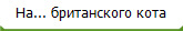На... британского кота
