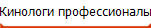 Кинологи профессионалы