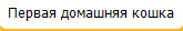 Первая домашняя кошка