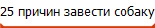 25 причин завести собаку